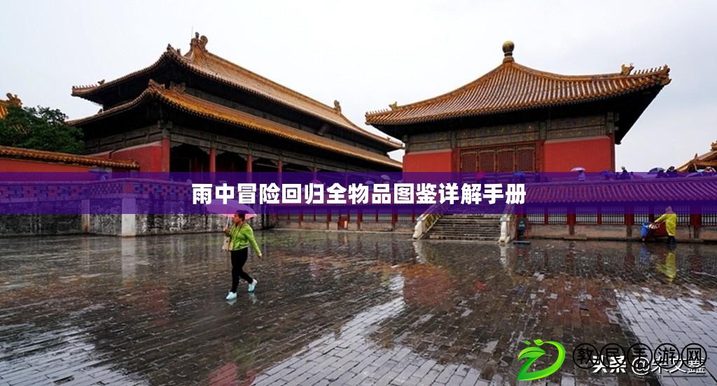 雨中冒險回歸全物品圖鑒詳解手冊