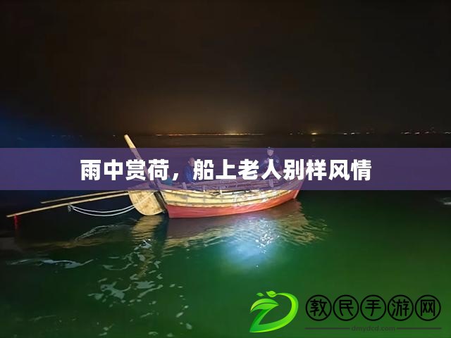 雨中賞荷，船上老人別樣風情