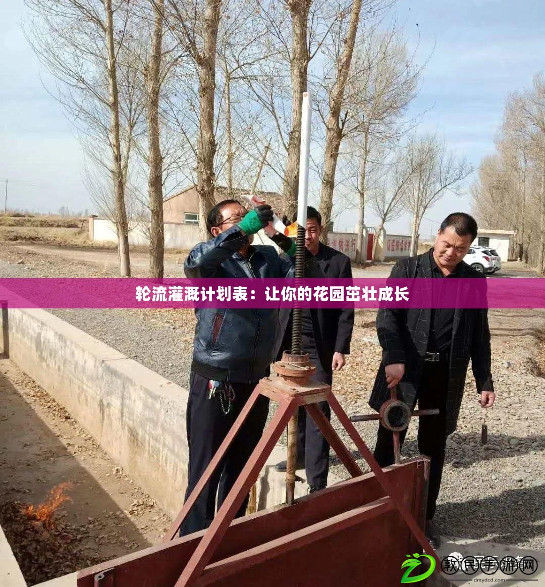 輪流灌溉計劃表：讓你的花園茁壯成長