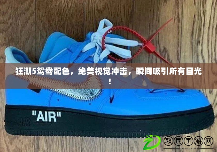 狂潮5鴛鴦配色，絕美視覺沖擊，瞬間吸引所有目光！