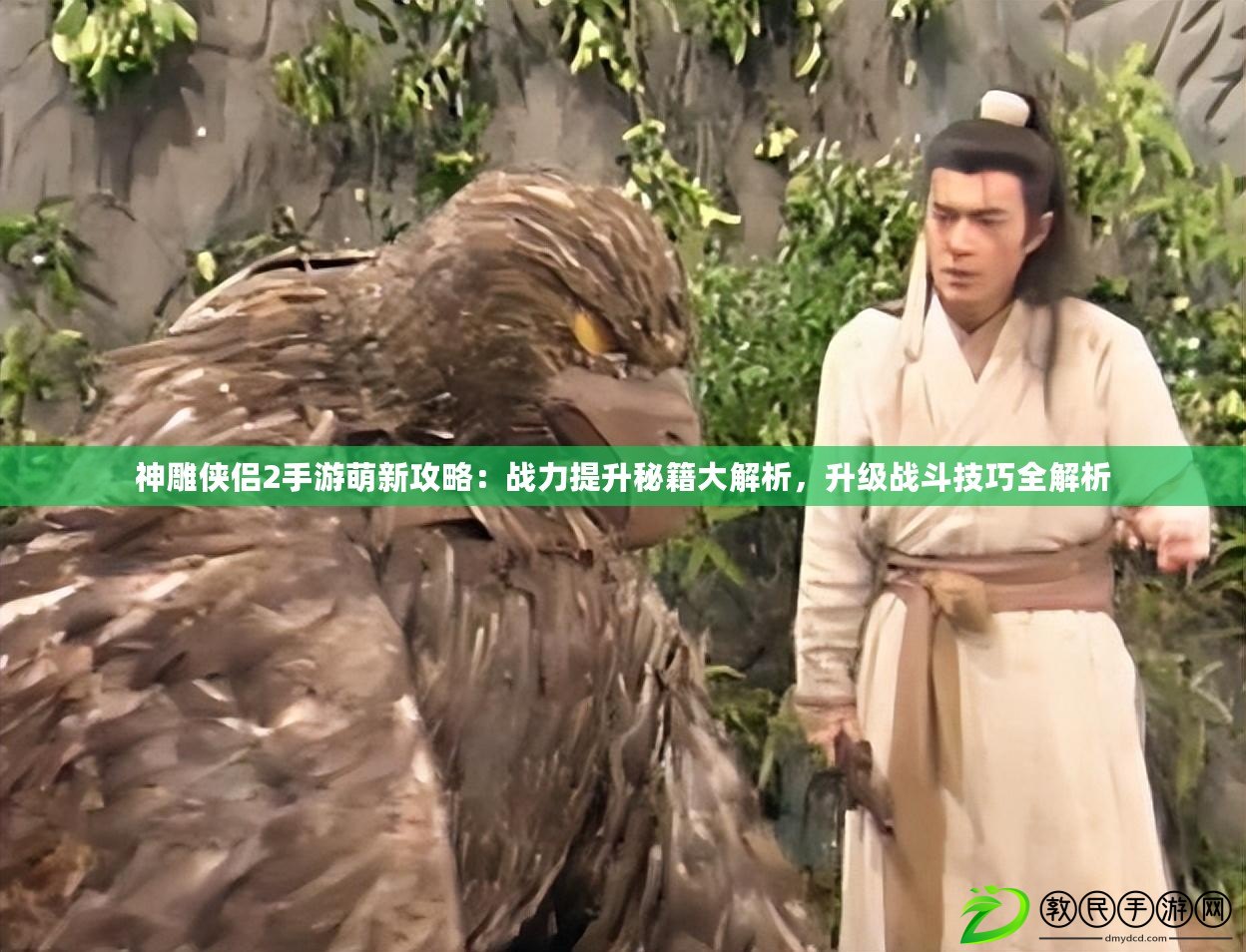 神雕俠侶2手游萌新攻略：戰力提升秘籍大解析，升級戰斗技巧全解析