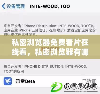 私密瀏覽器免費看片在線看，私密瀏覽器有哪些