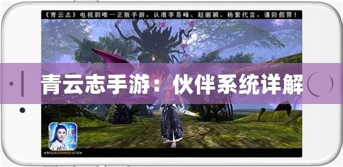 青云志手游：伙伴系統詳解