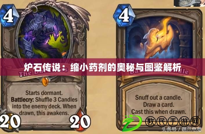爐石傳說:縮小藥劑的奧秘與圖鑒解析 爐石傳說:縮小藥劑的奧秘與圖鑒解析
