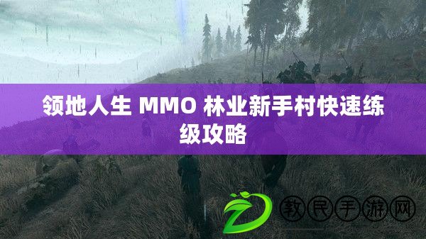 領地人生 MMO 林業新手村快速練級攻略