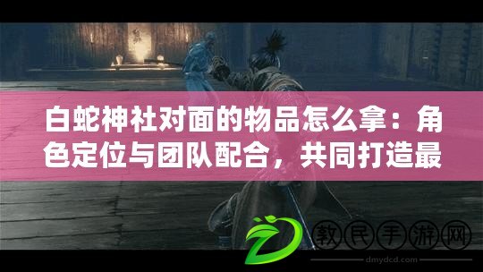 白蛇神社對面的物品怎么拿：角色定位與團隊配合，共同打造最強戰隊