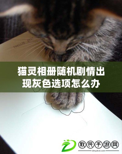 貓靈相冊隨機劇情出現灰色選項怎么辦