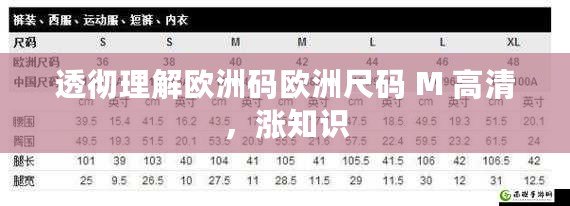 透徹理解歐洲碼歐洲尺碼 M 高清，漲知識