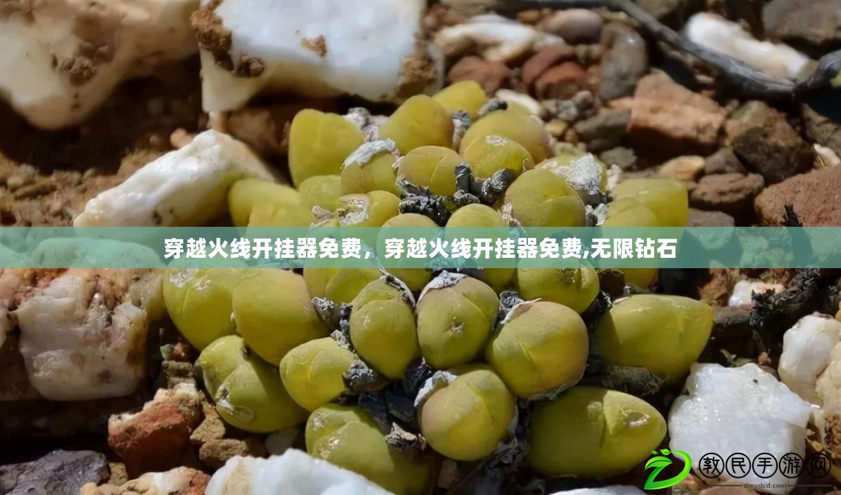 穿越火線開掛器免費，穿越火線開掛器免費,無限鉆石