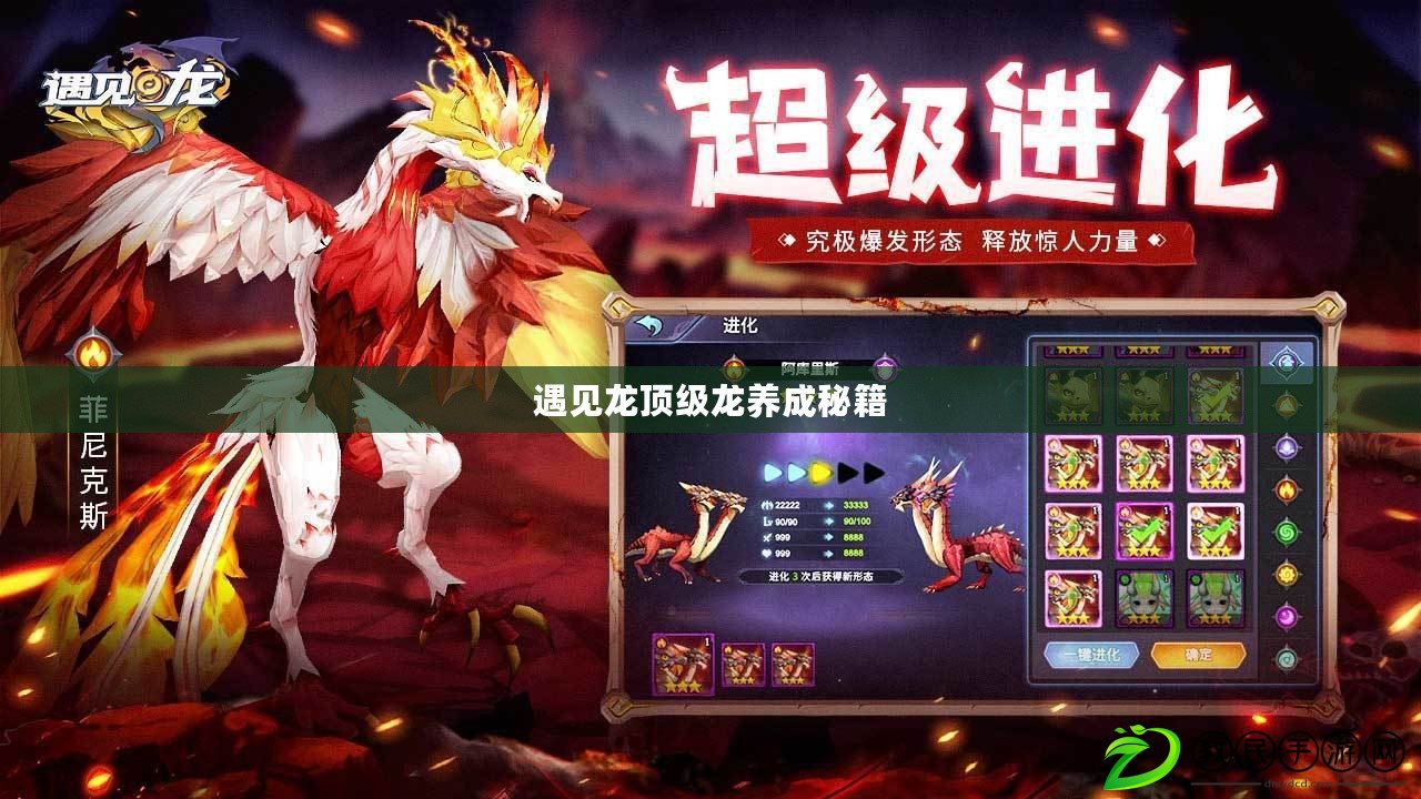 遇見龍頂級龍養成秘籍