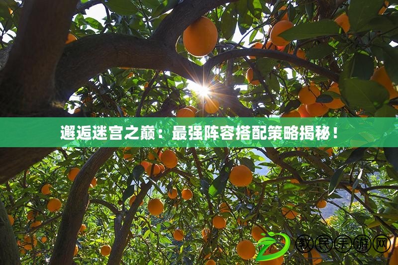邂逅迷宮之巔：最強陣容搭配策略揭秘！