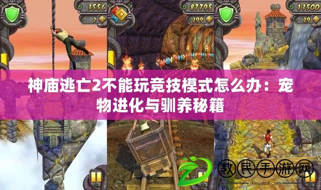 神廟逃亡2不能玩競技模式怎么辦：寵物進化與馴養秘籍