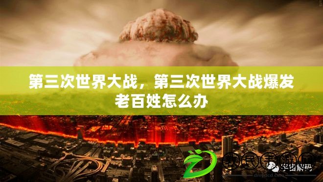 第三次世界大戰，第三次世界大戰爆發老百姓怎么辦