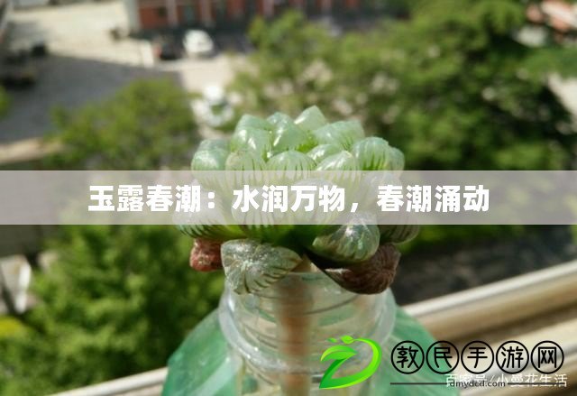 玉露春潮：水潤萬物，春潮涌動