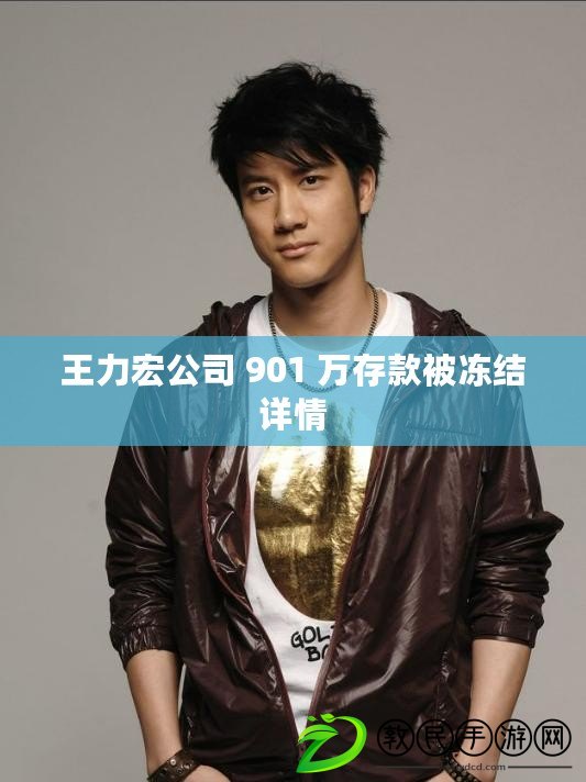 王力宏公司 901 萬存款被凍結詳情