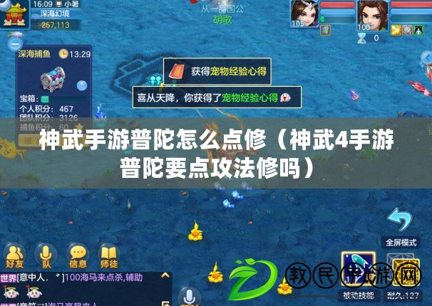 神武手游普陀怎么點修（神武4手游普陀要點攻法修嗎）