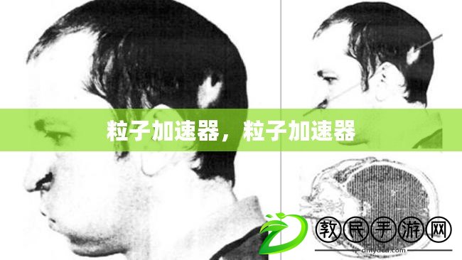 粒子加速器，粒子加速器