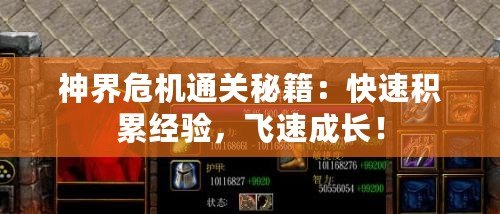 神界危機通關秘籍：快速積累經驗，飛速成長！