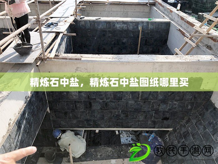 精煉石中鹽，精煉石中鹽圖紙哪里買