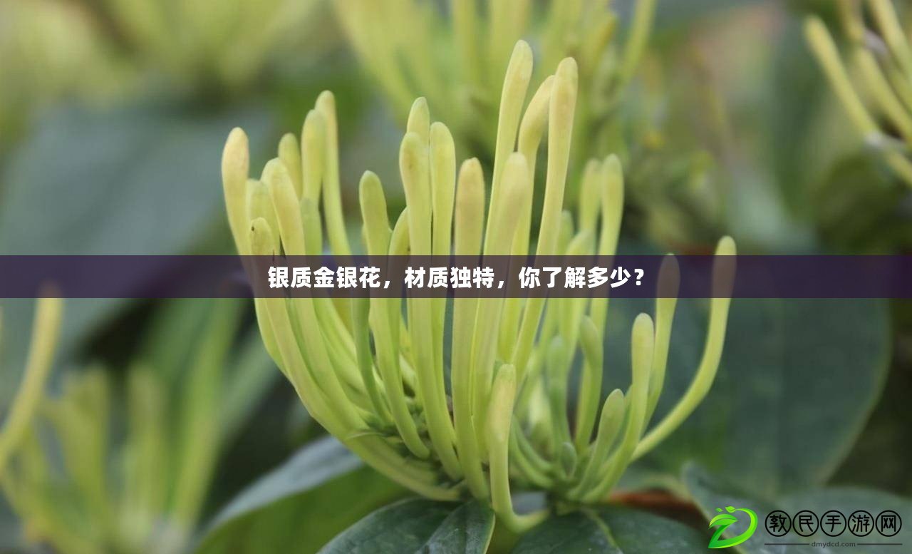 銀質金銀花，材質獨特，你了解多少？