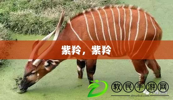紫羚，紫羚