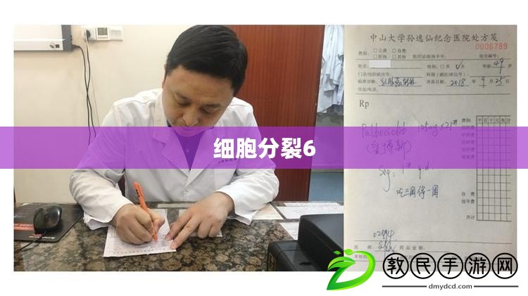細胞分裂6