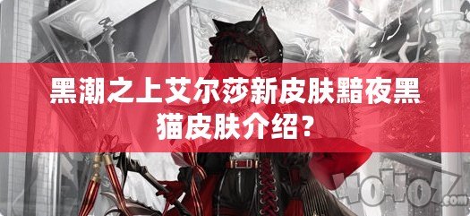 黑潮之上艾爾莎新皮膚黯夜黑貓皮膚介紹？