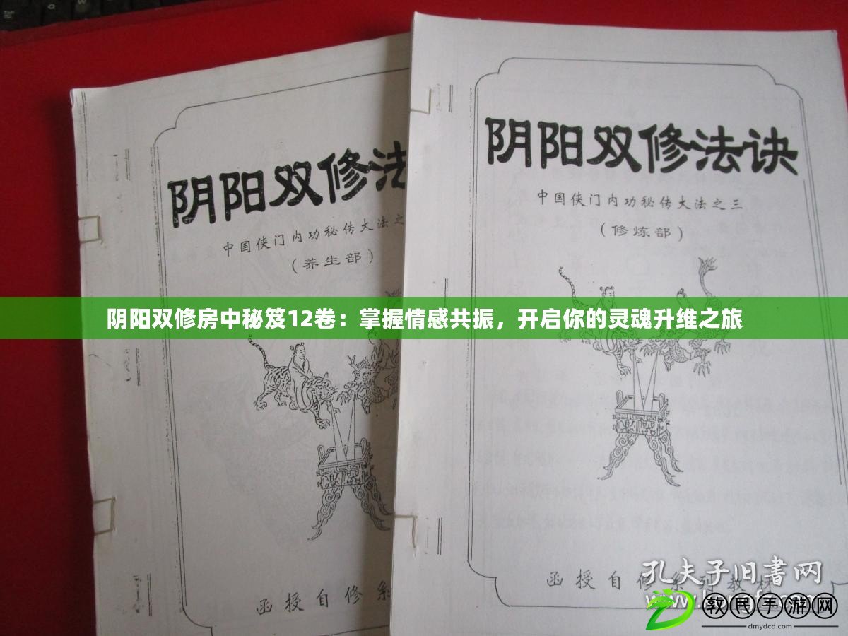 陰陽雙修房中秘笈12卷：掌握情感共振，開啟你的靈魂升維之旅