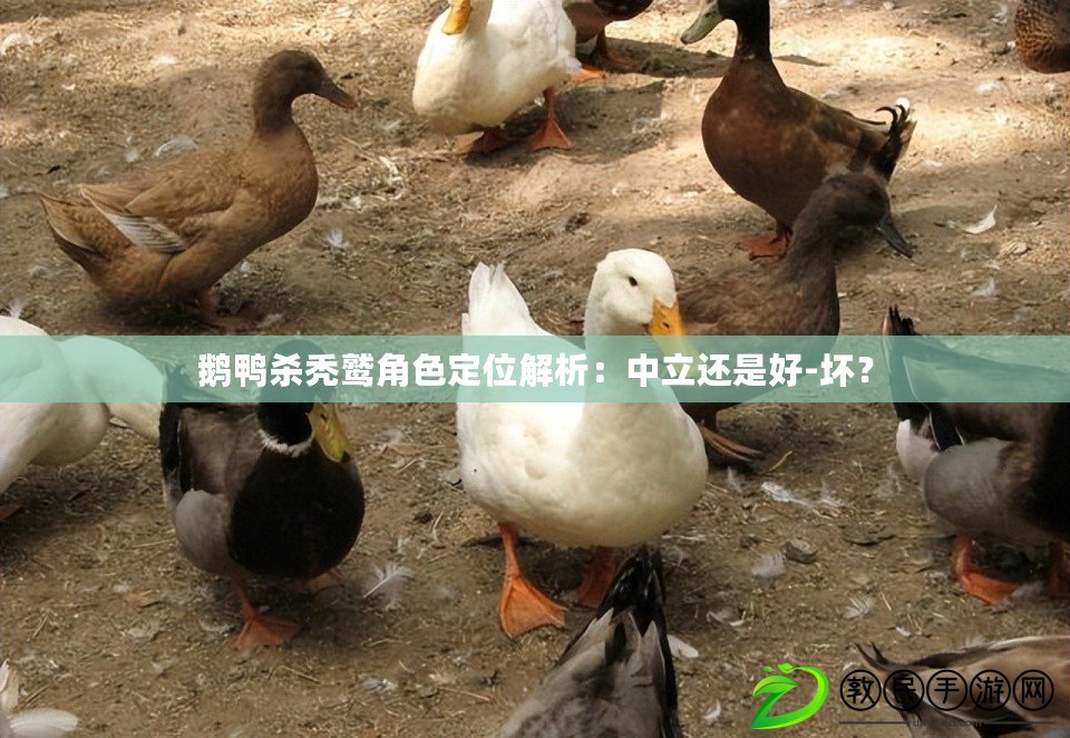 鵝鴨殺禿鷲角色定位解析：中立還是好-壞？