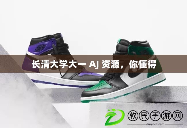 長清大學大一 AJ 資源，你懂得