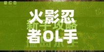 火影忍者OL手游風主45級忍考打法攻略：陣容搭配策略揭秘
