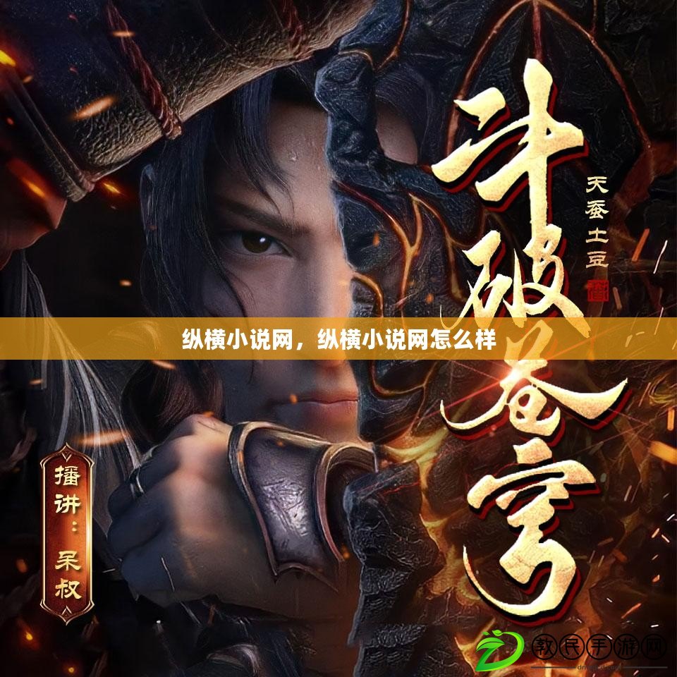 縱橫小說網，縱橫小說網怎么樣