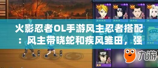 火影忍者OL手游風主忍者搭配：風主帶曉蛇和疾風雛田，強力組合