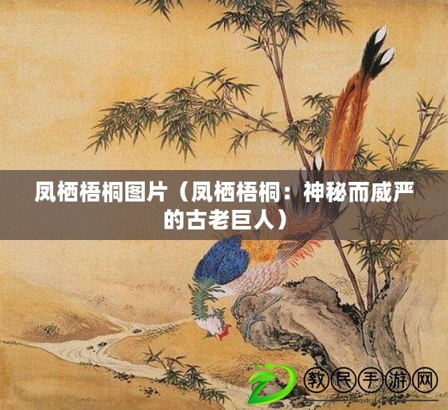 鳳棲梧桐圖片(鳳棲梧桐:神秘而威嚴的古老巨人) 鳳棲梧桐圖片(鳳棲梧桐:神秘而威嚴的古老巨人)