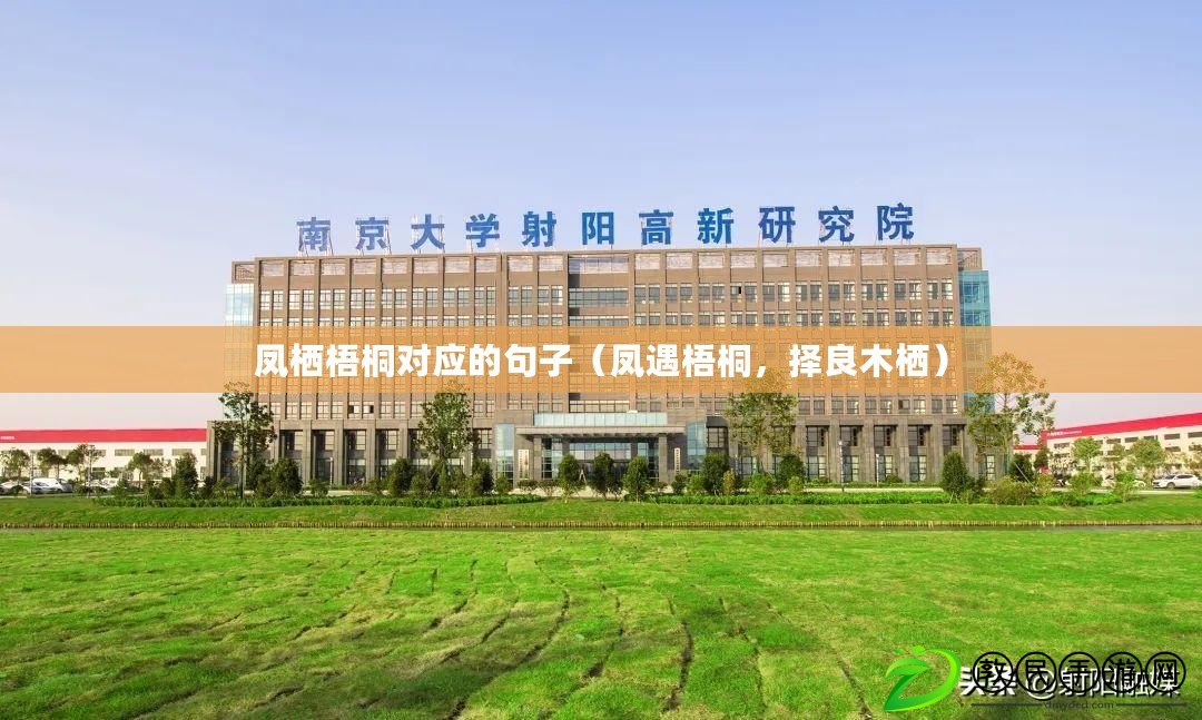 鳳棲梧桐對應的句子（鳳遇梧桐，擇良木棲）