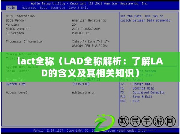 lact全稱（LAD全稱解析：了解LAD的含義及其相關知識）