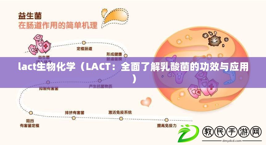 lact生物化學（LACT：全面了解乳酸菌的功效與應用）