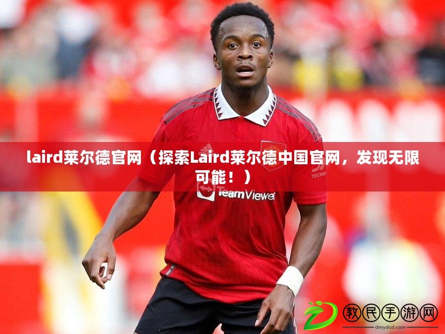 laird萊爾德官網（探索Laird萊爾德中國官網，發現無限可能?。? title=