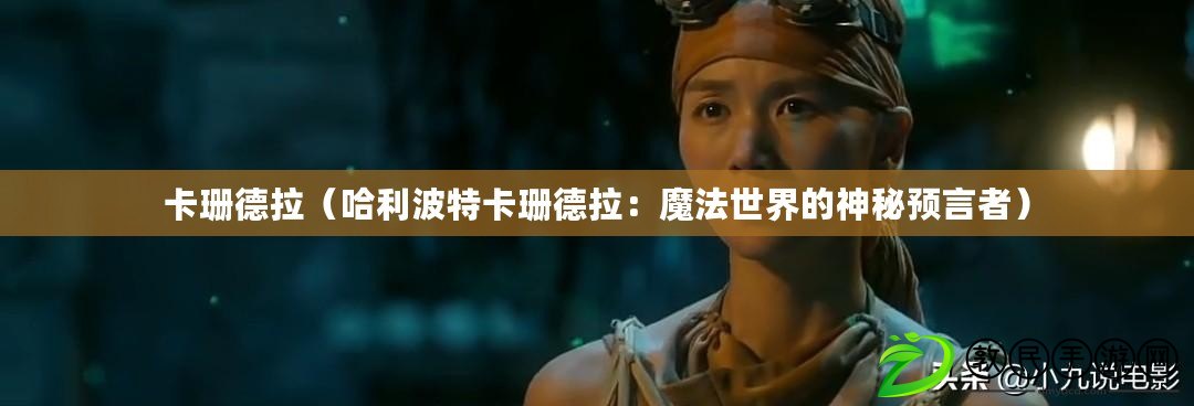 卡珊德拉（哈利波特卡珊德拉：魔法世界的神秘預言者）