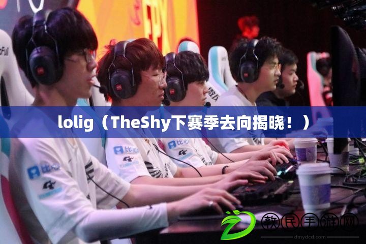 lolig（TheShy下賽季去向揭曉?。? title=