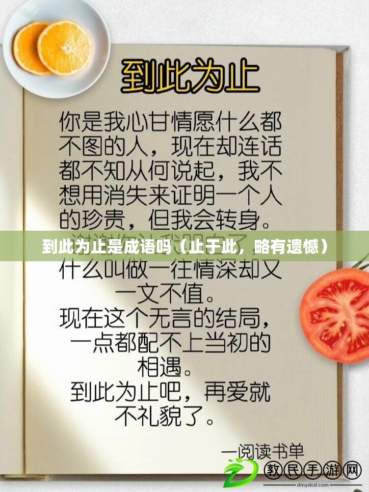 到此為止是成語嗎（止于此，略有遺憾）