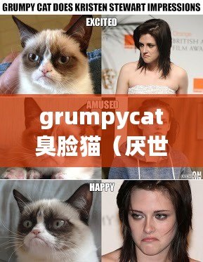 grumpycat臭臉貓（厭世臉貓：探尋內心深處的孤獨與無奈）