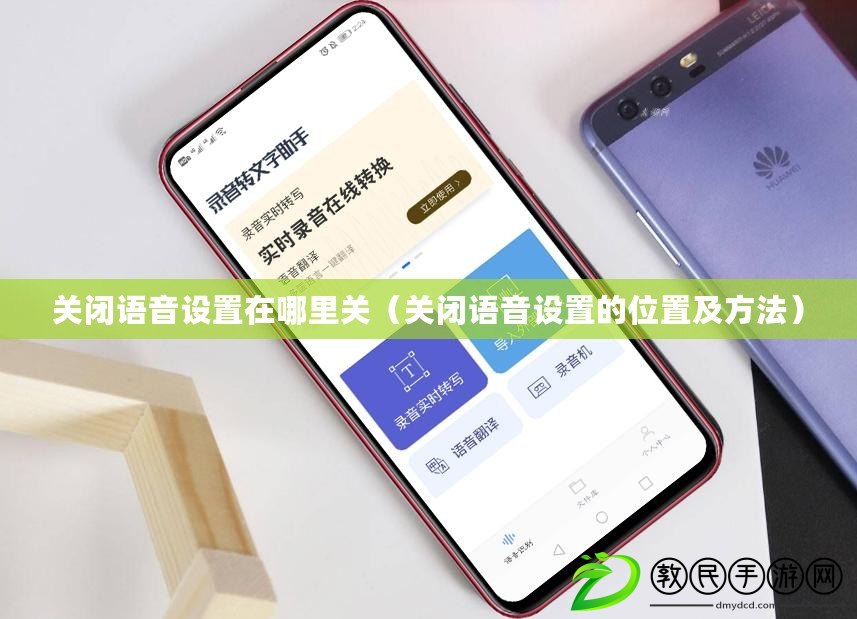 關閉語音設置在哪里關（關閉語音設置的位置及方法）