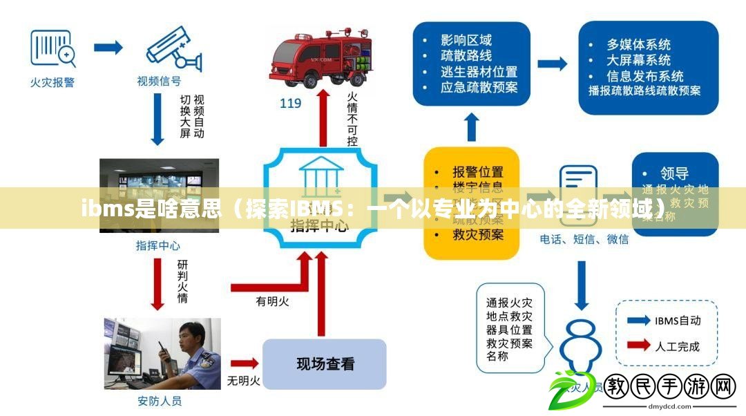 ibms是啥意思（探索IBMS：一個以專業為中心的全新領域）