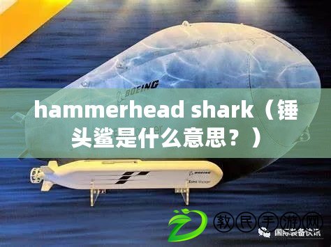 hammerhead shark（錘頭鯊是什么意思？）