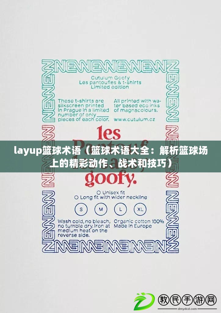 layup籃球術語（籃球術語大全：解析籃球場上的精彩動作、戰術和技巧）