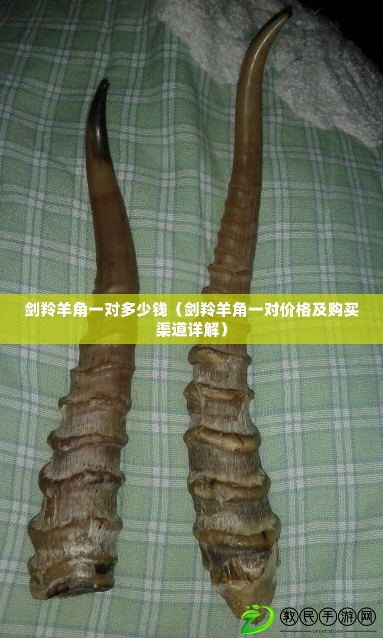 劍羚羊角一對多少錢(劍羚羊角一對價格及購買渠道詳解) 劍羚羊角一對多少錢(劍羚羊角一對價格及購買渠道詳解)