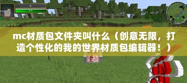 mc材質包文件夾叫什么（創意無限，打造個性化的我的世界材質包編輯器?。? title=