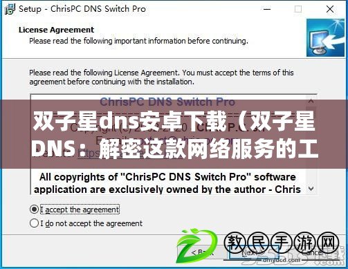 雙子星dns安卓下載（雙子星DNS：解密這款網絡服務的工作原理）