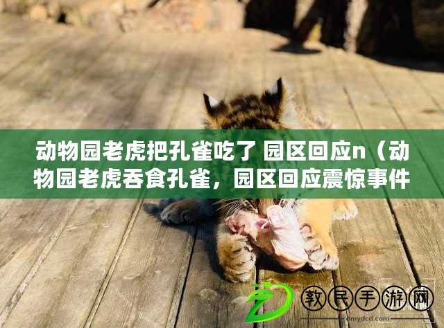 動物園老虎把孔雀吃了 園區回應n（動物園老虎吞食孔雀，園區回應震驚事件）